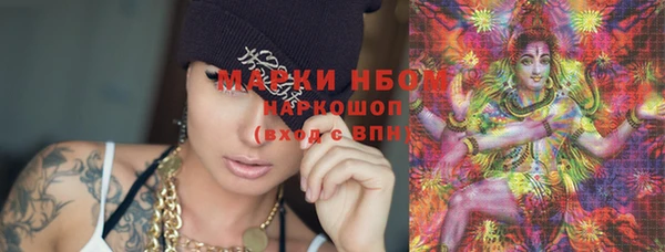 амф Балахна